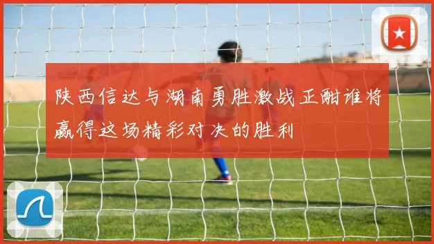 陕西信达与湖南勇胜激战正酣谁将赢得这场精彩对决的胜利