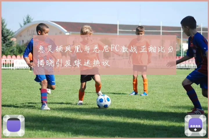 惠灵顿凤凰与悉尼FC激战正酣比分揭晓引发球迷热议